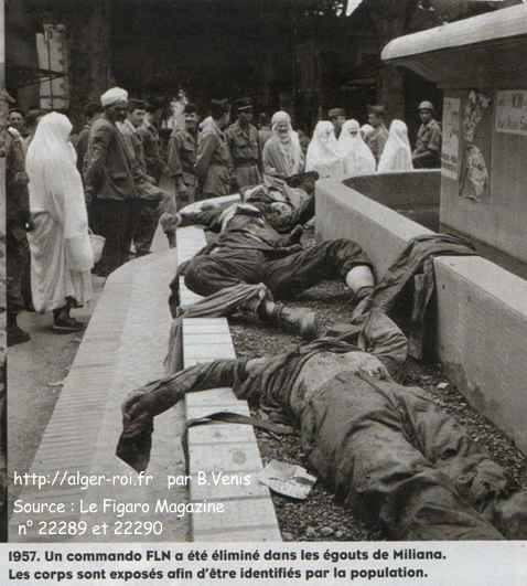 Un commando FLN a été éliminé dans les égouts de Miliana. 1957. Les corps sont exposés afin d'être identifiés par la populatio