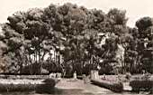 Le jardin et les ruines romaines