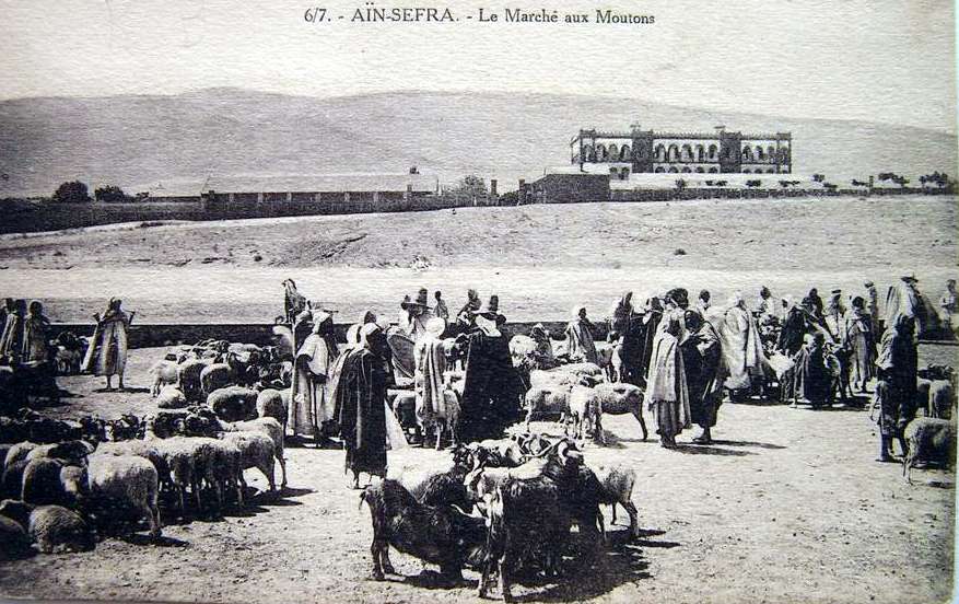 ain-sefra,lemarche aux moutons