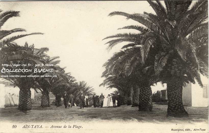 L'avenue de la plage 