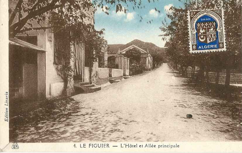 le figuier,hotel et allee principale