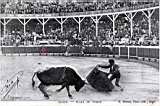 inauguration des nouvelles arènes Bab el Oued, corrida