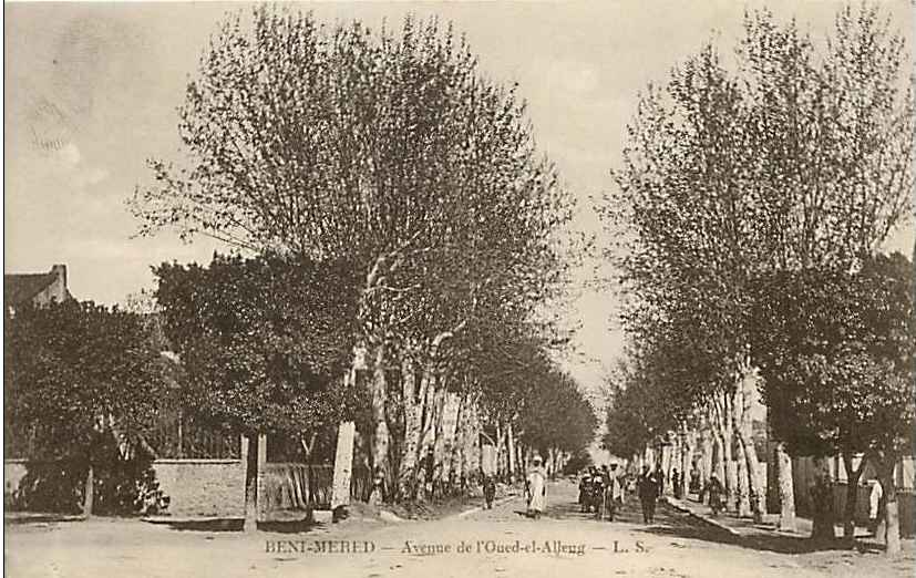 Avenue oued-el-Alleug