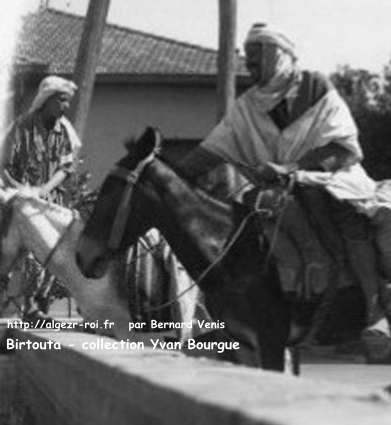 L'abreuvoir et , dessous, chevaux s'y abreuvant.