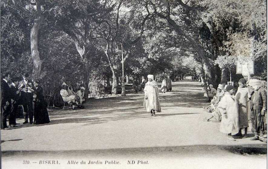 biskra et les Ziban,allee du jardin de ville