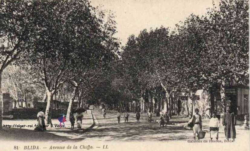 Blida,avenue de la chiffa