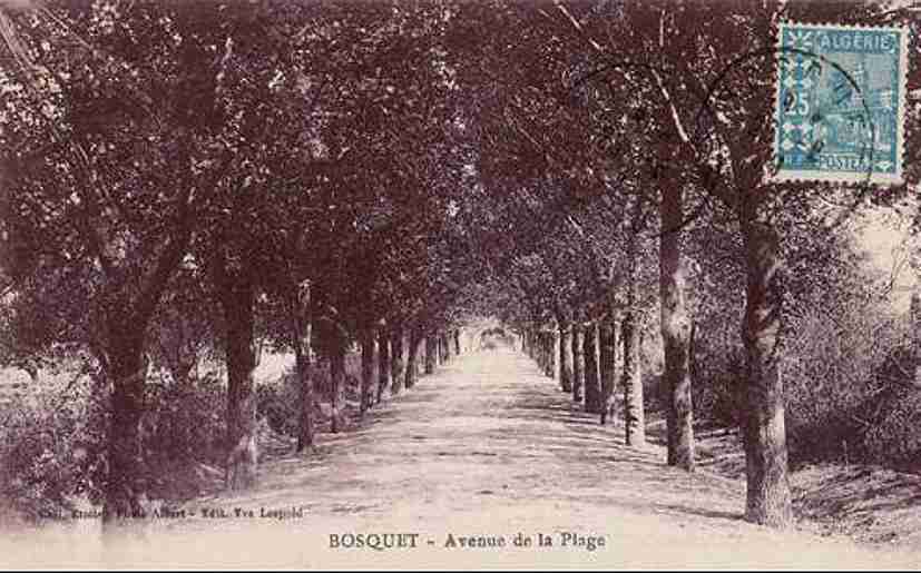 bosquet,avenue de la plage