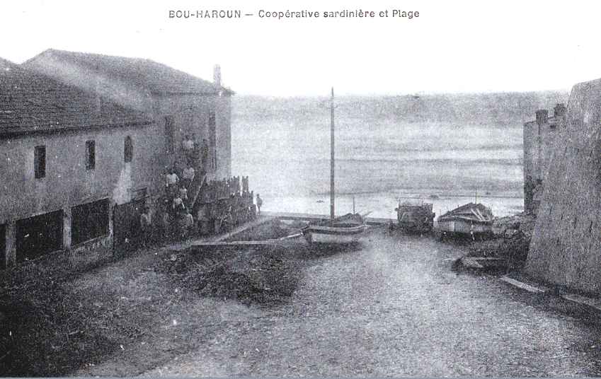 Coopérative sardinière et la plage