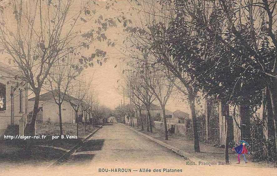 bou-haroun,pres de castiglione,village de pecheurs,allee des platanes