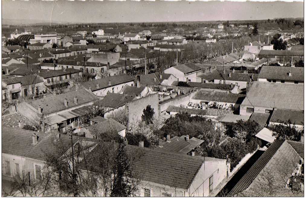 Vue générale,boufarik