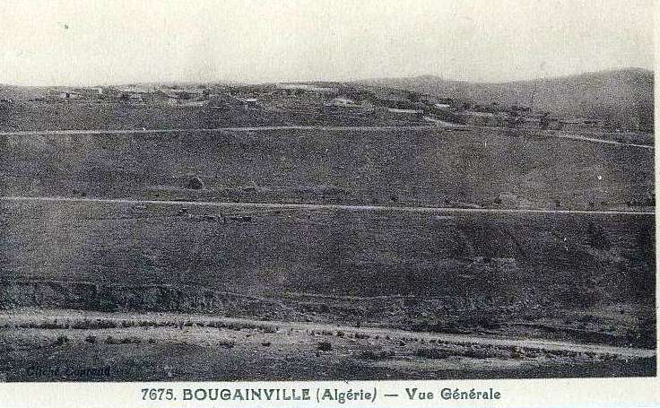 bougainville,orleansville,vue generale