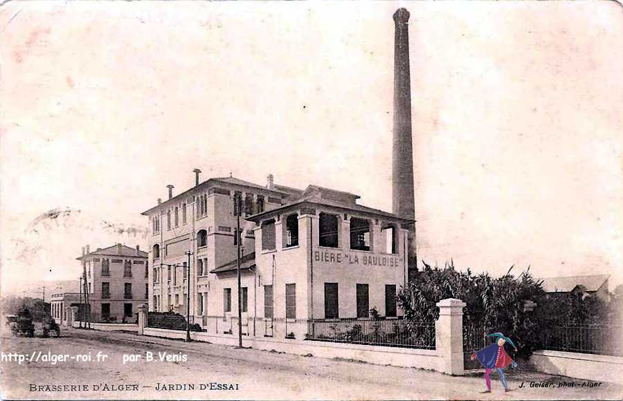 la brasserie d'Alger la Gauloise - Alger :