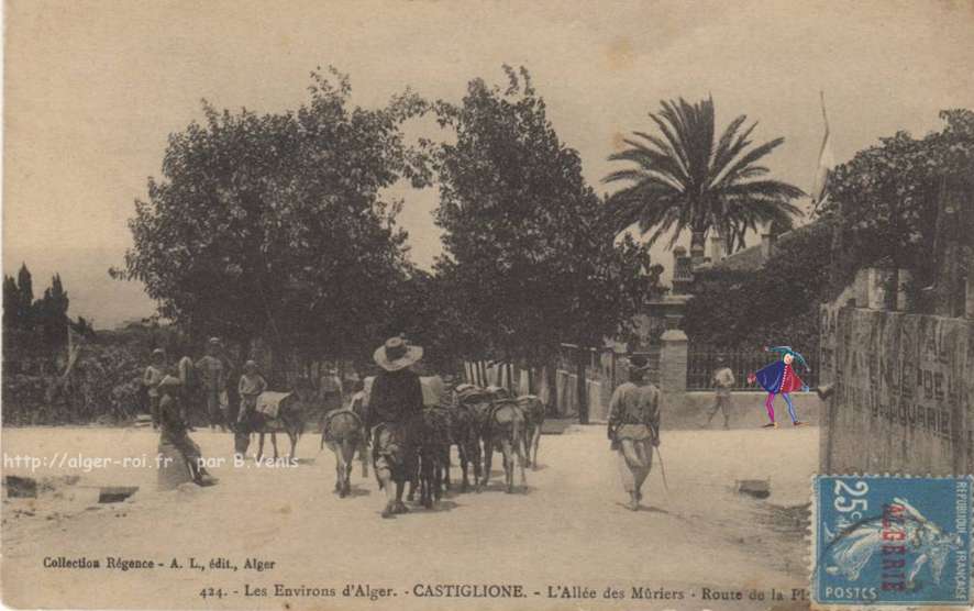 Allée des Mûriers - route de la plage