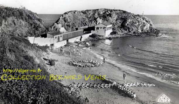 Cherchell : ancienne Césarée sur la côte turquoise