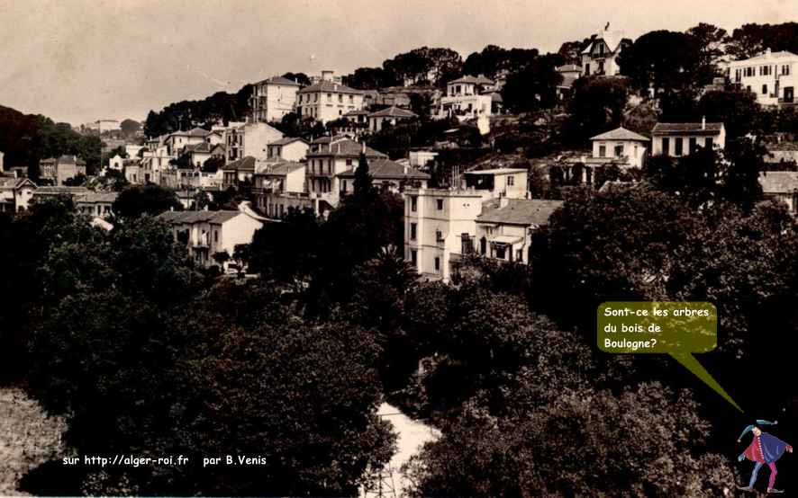 Quartier De Brazza