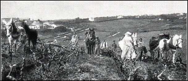 Sœurs Agricoles Hospitalières 