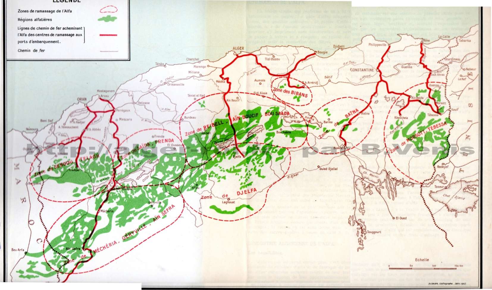 L'alfa en Algérie 