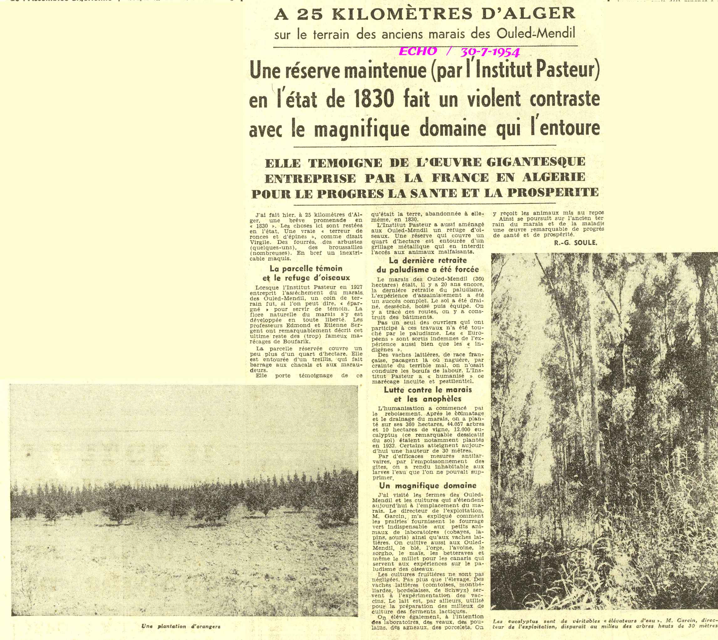 A 25 KILOMÈTRES D’ALGER 