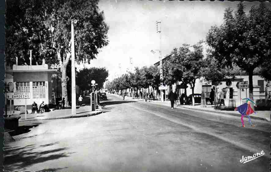 el-arrouch,arrouch,la rue nationale