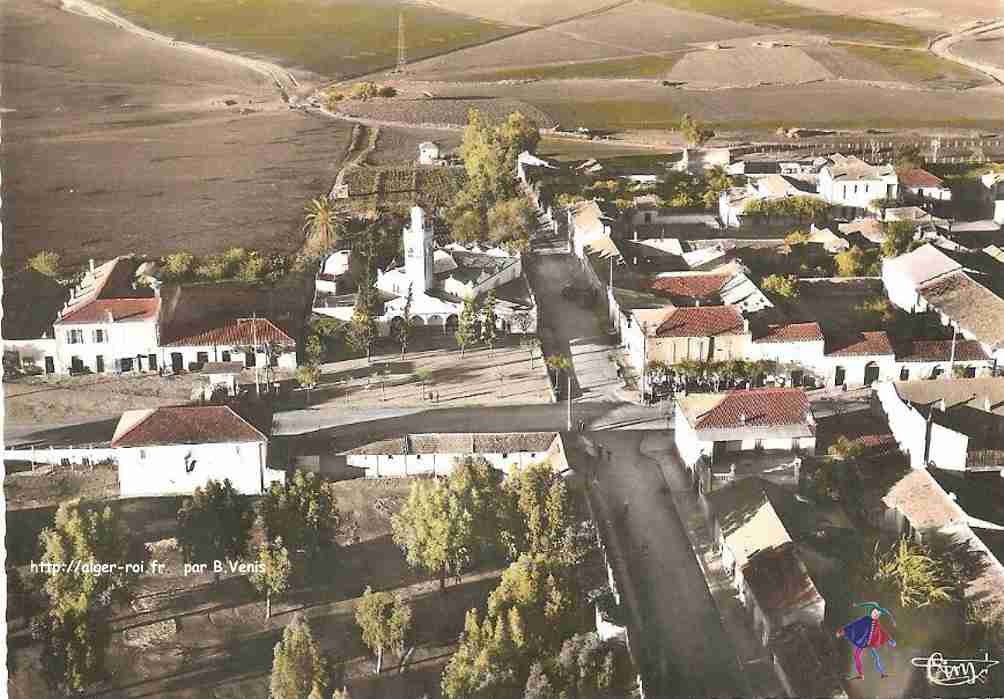 el-arrouch,arrouch,vue aerienne sur la ville et la mosquee