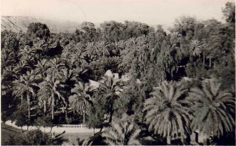 Jardins de l'annexe. Demeure du Chef d'Annexe 