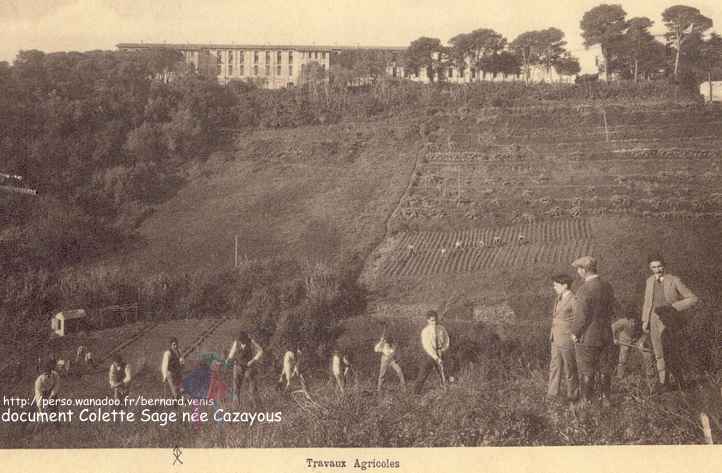 Les travaux agricoles...en costume, cravate!