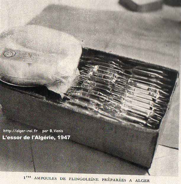 AMPOULES DE FLINGOLEiNE PRÉPARÉES A ALGER