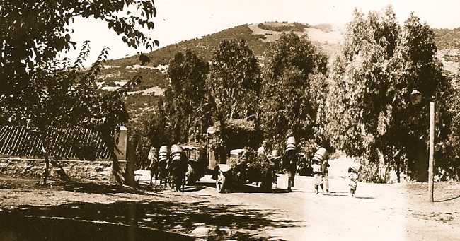 UNE JOURNEE DE VENDANGES