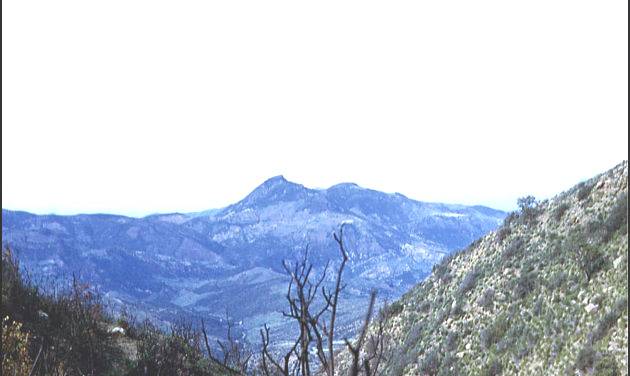 Le mont BISSA - alt. 1100 m - Massif du Dhara"