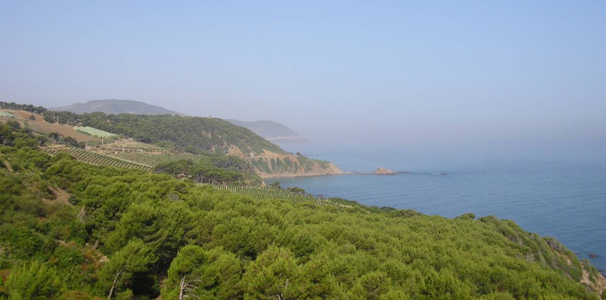 LA COTE ENTRE DUPLEIX A FRANCIS GARNIER