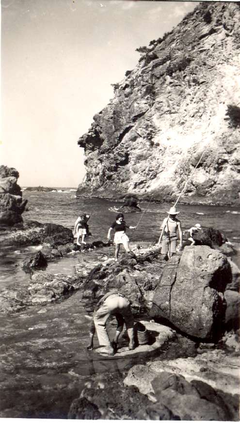 Pêche dans les rochers, chasse aux oursins?