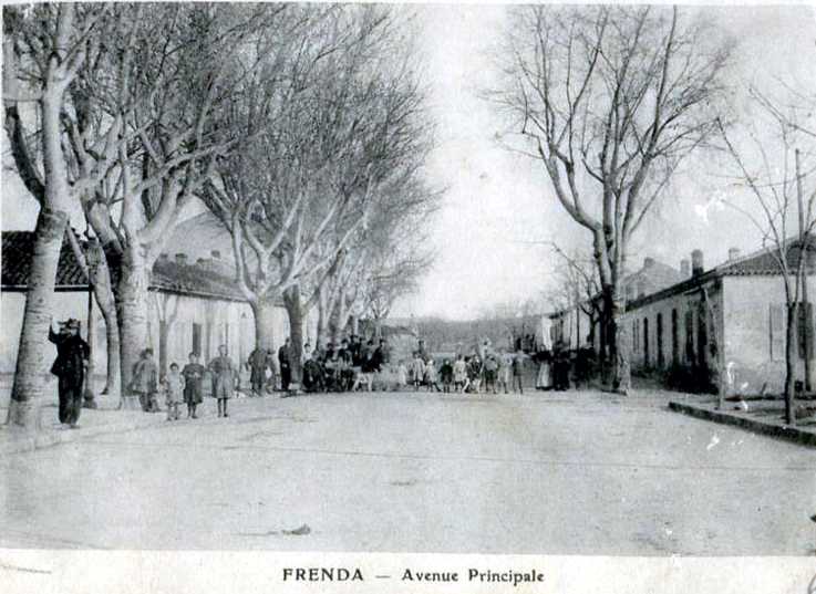 frenda,avenue principale