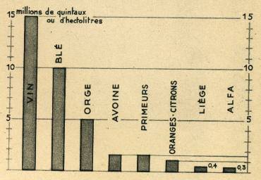 Graphique des principales productions de l'Algérie.