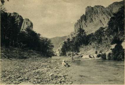 Photo Ofalac. El Kantara. Le défilé d'El Kantara (Le Pont) est un passage naturel entre la région du Tell et les oasis qui bordent le Sahara. Le fond de la gorge est arrosé par l'Oued Kantara.