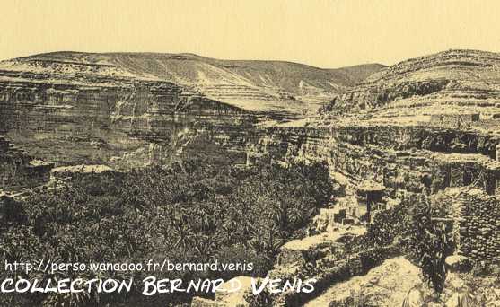 Aurés, environs de Biskra : Oasis de Rhoufi. L'oasis dans les gorges.