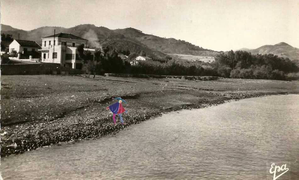 gouraya,la plage et l'hotel du rivage