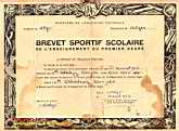 Brevet sportif scolaire