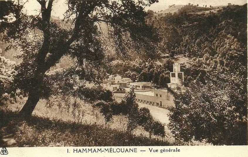 hammam-melouane,vue generale