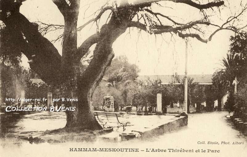 L'arbre thirébent et le parc