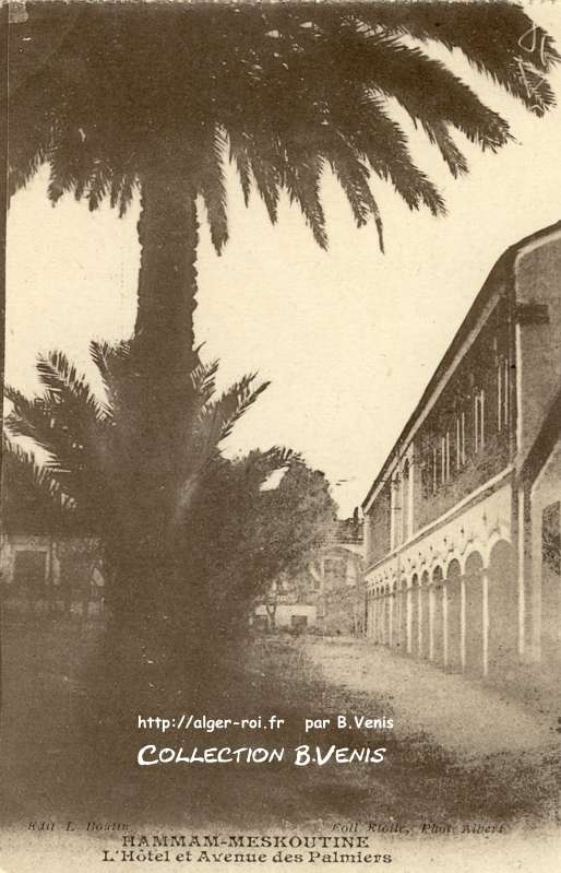 L'hôtel et avenue des palmiers