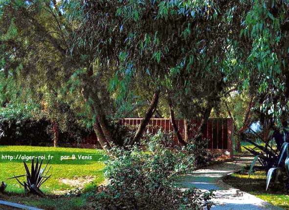 Maison verte : des jardins...et c'est vert.