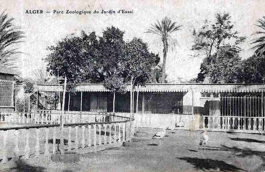 jardin d'essai,mustapha,parc zoologique