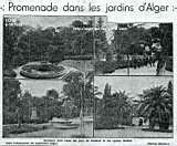 Promenades dans les jardins d'Alger