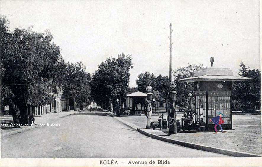 avenue de blida,kolea