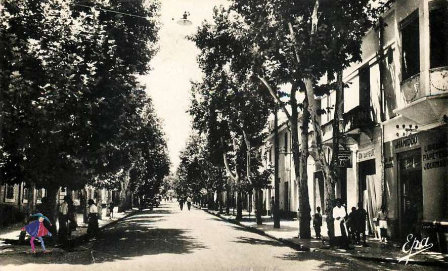 lamoriciere,Lamoricière,le boulevard de la republique