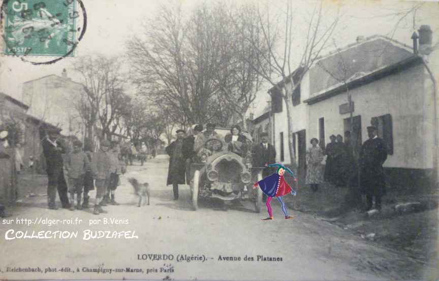 L'avenue des platanes,loverdo