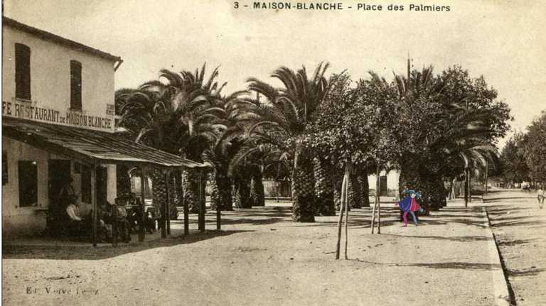 Place des palmiers et café-restaurant 