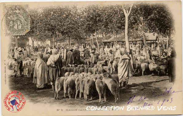 marché au bétail