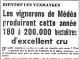 Les vignerons produiront 180 à 200 000 hectolitres d'excellent cru.