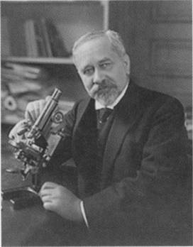 Albert Calmette